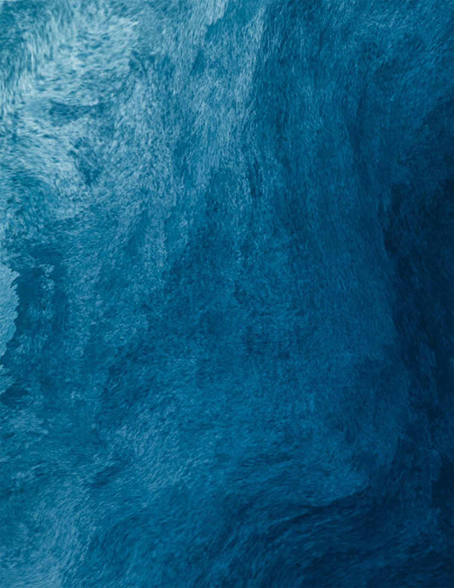 DEEPAL Background