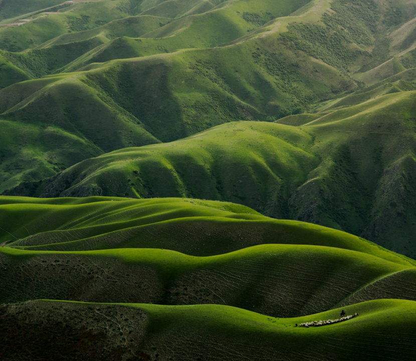 GOING GREEN