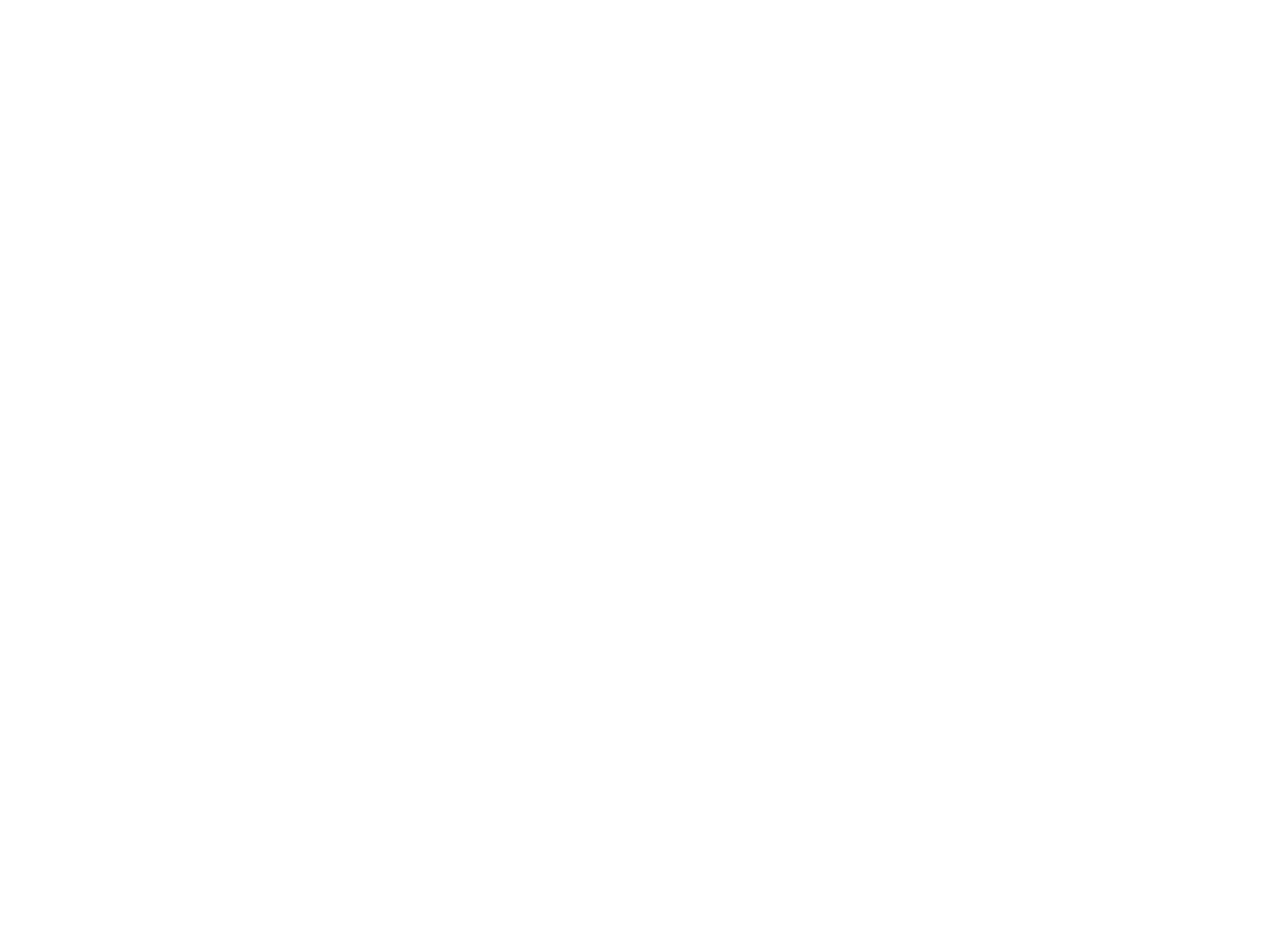 CHANGAN NEVO